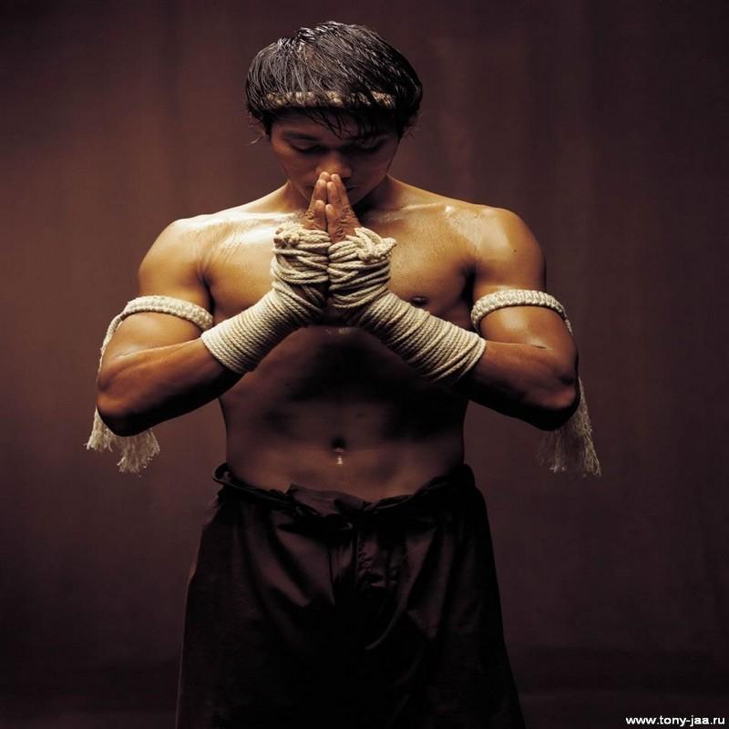 Tony Jaa HD Wallpaper