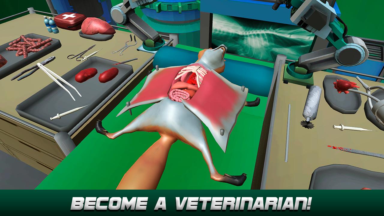 Crazy Animal Surgery Simulator